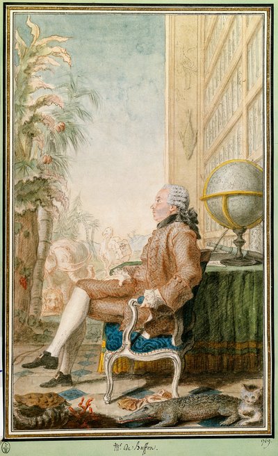 乔治-路易-勒克莱尔的肖像，布丰伯爵（1707-1788），自然学家，国王花园的管理员。路易斯-卡洛吉-卡蒙特尔（1717-1806）的水彩画。尚蒂伊。康德博物馆 作者 卡蒙泰尔
