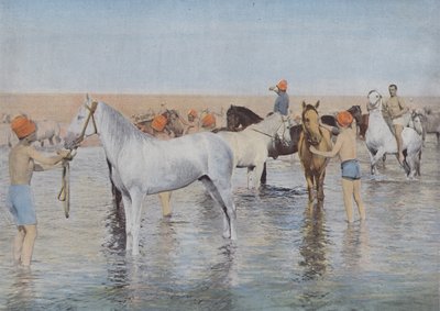 海水浴（彩色照片 作者 （之后）法国摄影师