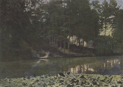 Bois de Boulogne, Le Reservoir（彩色照片） 作者 （之后）法国摄影师