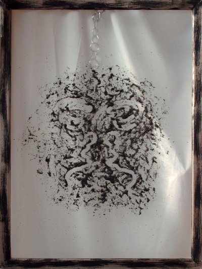 影响力 作者 安格尔·德马科