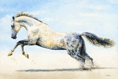 挣脱束缚 作者 理查德杨