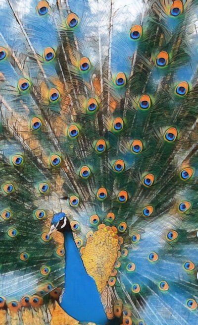 Pavo Real. 作者 玛格丽特乌利亚特