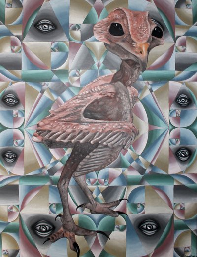 赤裸裸的智慧 作者 