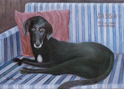 我们的狗狗萨萨 作者 