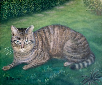 猫咪朱莉娅 作者 