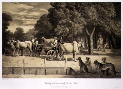 准备追捕的豹子，出自《印度之旅》，由路易斯-亨利-德-鲁德（1807-81）雕刻，在伦敦出版。 作者 A.（之后）索尔特科夫