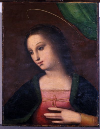 玛丽的肖像（木头上的蛋彩画） 作者 A. 1485 c.1525 Piccinelli