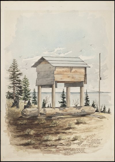 描绘奇珀瓦印第安“药人”“卡杜斯”埋葬地的图画、纳瓦霍沙画和乌鸦石画 作者 格罗斯曼