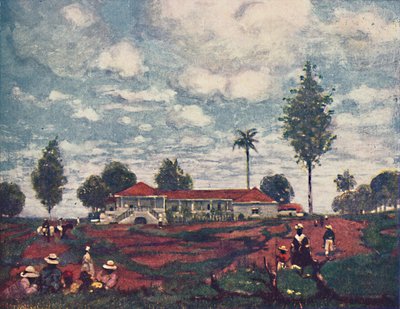 一个咖啡农场，1916年 作者 福雷斯特