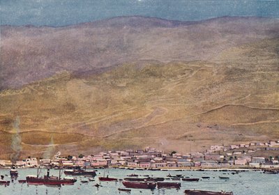 阿里卡（Arica），1916年 作者 福雷斯特