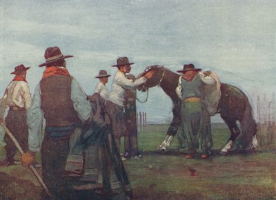 高乔人破马，1916年 作者 福雷斯特