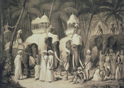 Travandrum Raja的大象，来自&39;印度之旅&39;，由Louis Henri de Rudder雕刻（1807-81） 作者 A.索尔特科夫