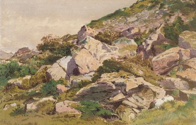 南威尔士兰迪洛附近塔利亚里斯北侧的石头研究（chromolitho） 作者 亚伦·埃德温·彭利