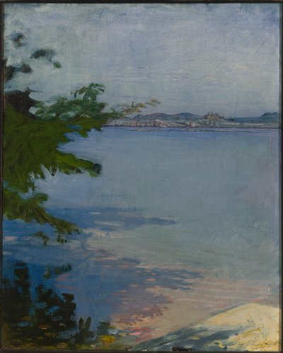 都柏林池塘，新罕布什尔州，1894年。 作者 雅培汉德森塞耶