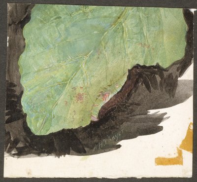Heterocampa Biundata，沃克，《动物王国中的隐色》一书的研究对象 作者 雅培汉德森塞耶