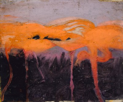 红火烈鸟，为《动物王国的隐蔽色彩》一书做研究，约1905-1909年。 作者 雅培汉德森塞耶
