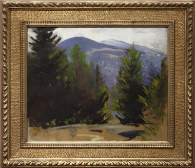 1897年Monadnock山的草图 作者 雅培汉德森塞耶