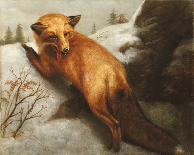 红狐狸，1870年 作者 雅培汉德森塞耶