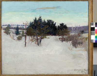 冬季景观，1902年 作者 雅培汉德森塞耶