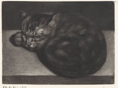 睡猫 作者 科内利斯·彼得斯。贝加（可能）
