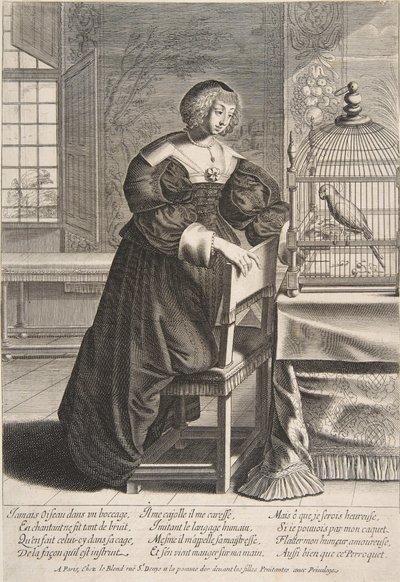 鹦鹉，1620-76年。 作者 亚伯拉罕·博斯（Abraham Bosse）