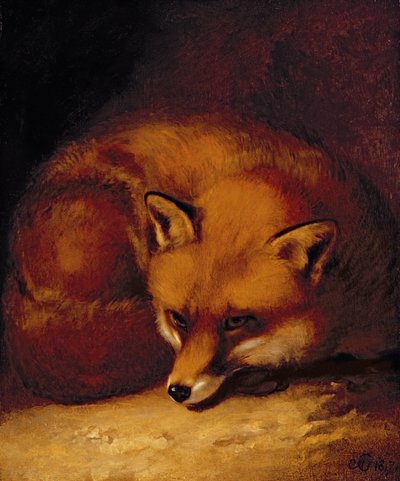 一只狐狸 作者 Abraham Cooper