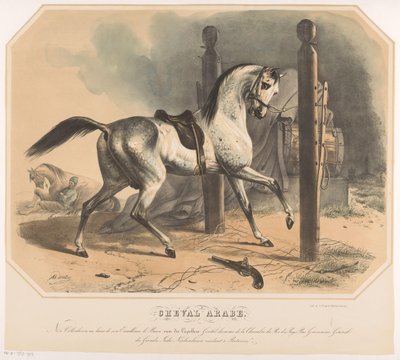 戈德特-凡-德-卡佩伦创作的阿拉伯马
Cheval Arabe（物上标题） 作者 彼得·威廉姆斯·范·德·魏尔