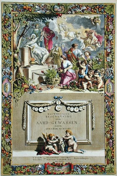 亚伯拉罕-芒廷（1626-83年）的 "Nauwkerige Beschryving der Aard-Gewassen "的扉页，1666年出版（彩色版画） 作者 亚伯拉罕·蒙廷