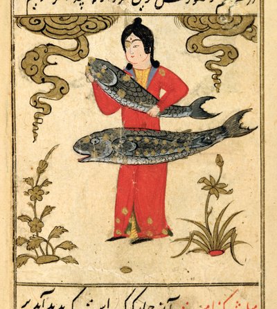 黄道十二宫：双鱼座，鱼，来自Talim dar marifat i taqvuim，1498（903 Hijra） 作者 阿布贾法尔·塔巴里（Abu Jafar al Tabari）
