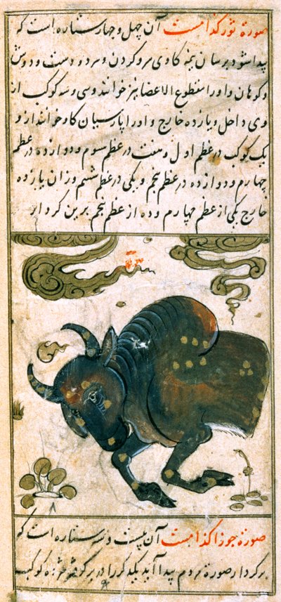 黄道十二宫：金牛座，公牛，来自Talim dar marifat i taqvuim，1498（903 Hijra） 作者 阿布贾法尔·塔巴里（Abu Jafar al Tabari）