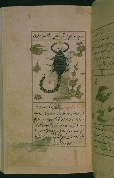 星座：天蝎座，蝎子，来自Talim dar marifat i taqvuim，1498（903 Hijra）（墨水） 作者 阿布贾法尔·塔巴里（Abu Jafar al Tabari）