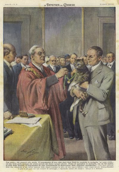 一只荣获奖牌的猫 作者 Achille Beltrame