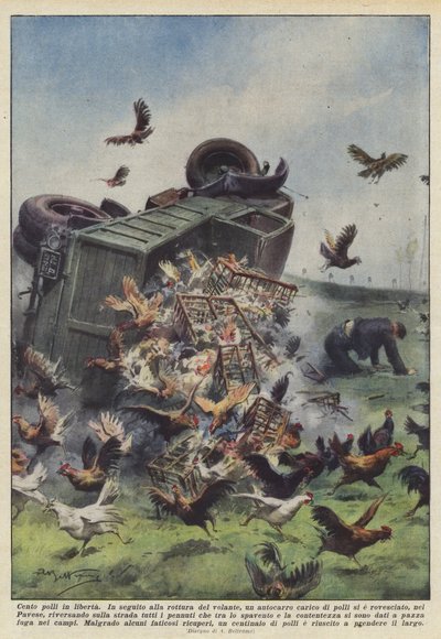 一百只鸡在自由中 作者 Achille Beltrame