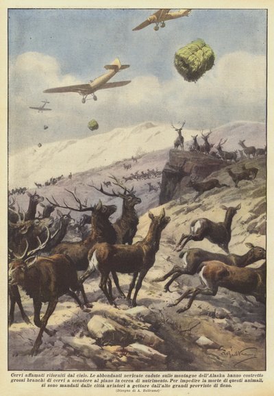 饥饿的鹿在天空中燃烧 作者 Achille Beltrame