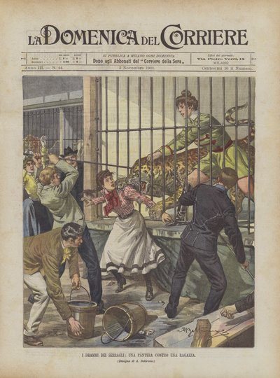 Seraglio Drambles，反对女孩的豹 作者 Achille Beltrame