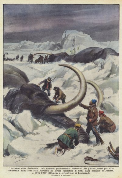 史前史的见证人 作者 Achille Beltrame