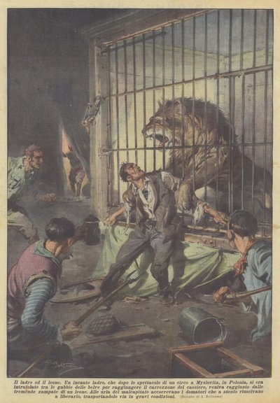 小偷和狮子 作者 Achille Beltrame