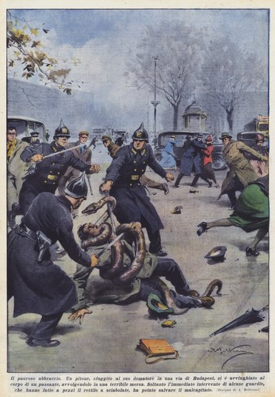 可怕的拥抱 作者 Achille Beltrame