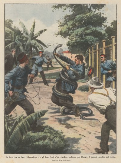 蟒蛇蟒蛇和动物园的服务员之间的斗争，以取消看守？ 作者 Achille Beltrame