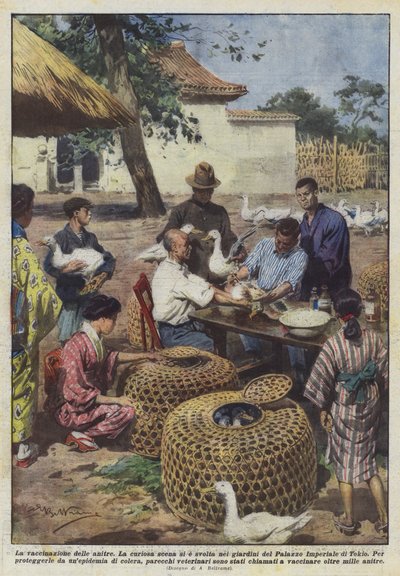 接种鸭子 作者 阿基里·贝尔特拉姆（Achille Beltrame）