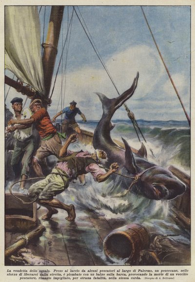 鲨鱼的复仇 作者 Achille Beltrame