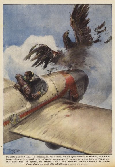 拉奎拉对抗莱利卡 作者 阿基里·贝尔特拉姆（Achille Beltrame）