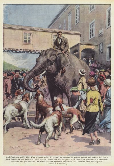 在阿尔卑斯山的Elephantess 作者 Achille Beltrame