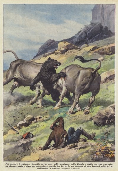 保存主人 作者 Achille Beltrame