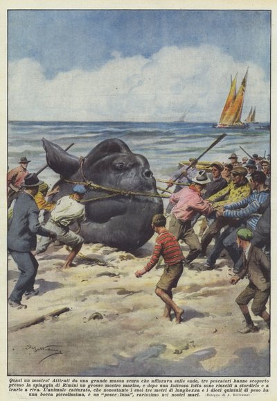 几乎怪物！ 作者 Achille Beltrame