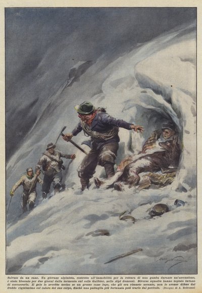 被狗救了 作者 阿基里·贝尔特拉姆（Achille Beltrame）