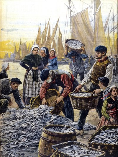 1903年在布列塔尼捕鱼的沙丁鱼，插图：Achille Beltrame 作者 阿基里·贝尔特拉姆（Achille Beltrame）