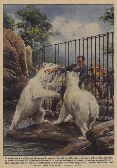 被白熊撕裂，穿过酒吧！ 作者 Achille Beltrame