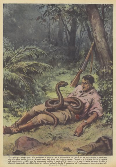 可怕的冒险 作者 Achille Beltrame