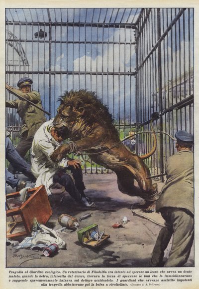 动物园的悲剧 作者 Achille Beltrame